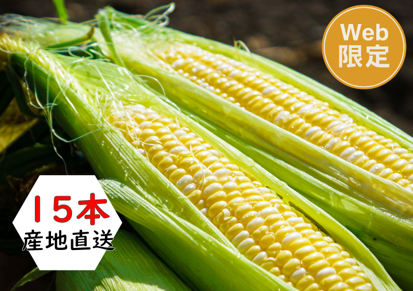 【直送】【送料込】北海道産　とうもろこし　(15本)